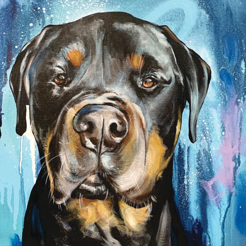 PET PORTRAIT BOOKING