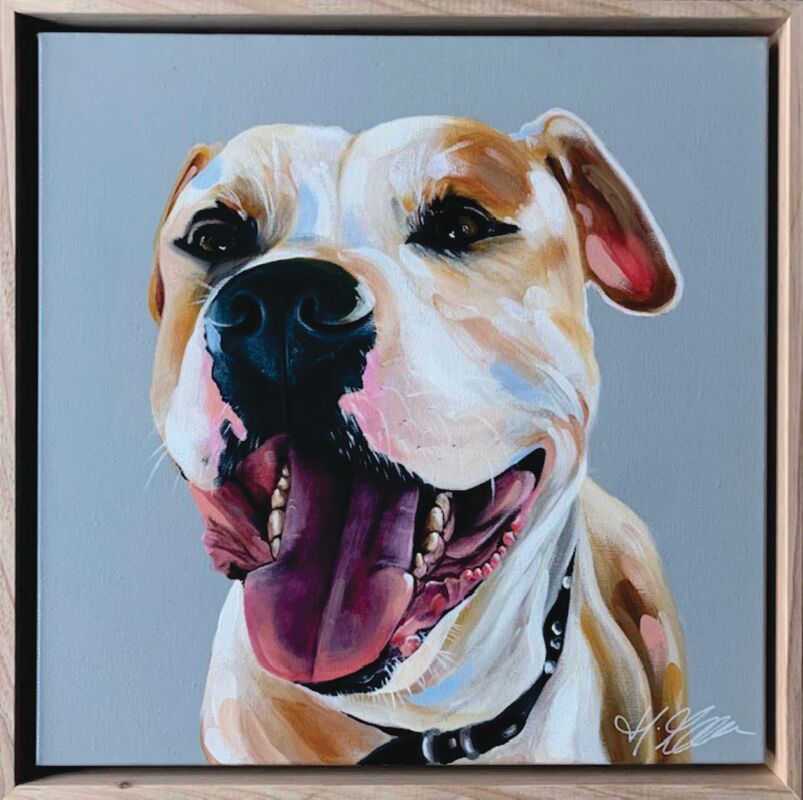 PET PORTRAIT BOOKING
