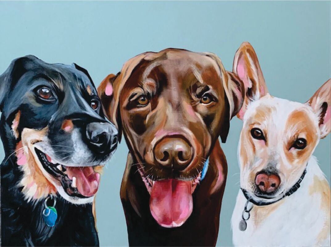 PET PORTRAIT BOOKING