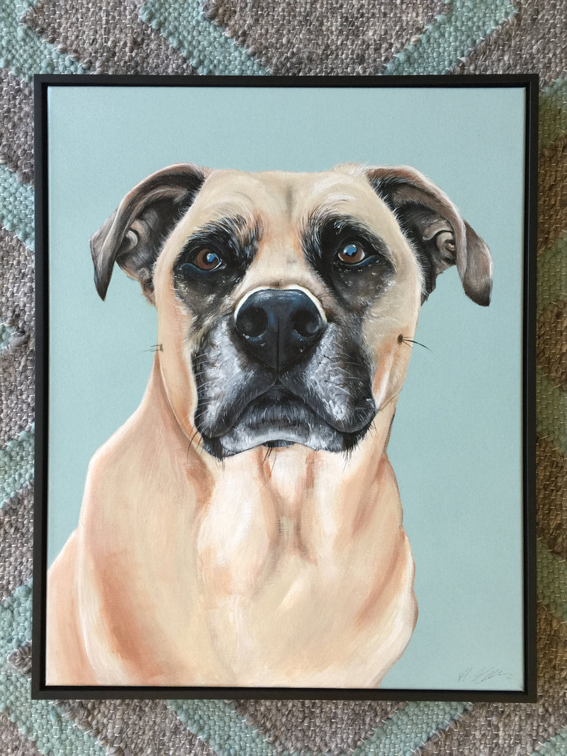 PET PORTRAIT BOOKING