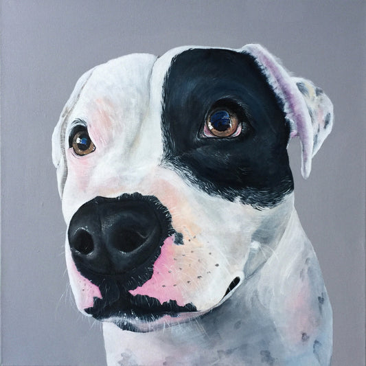 PET PORTRAIT BOOKING