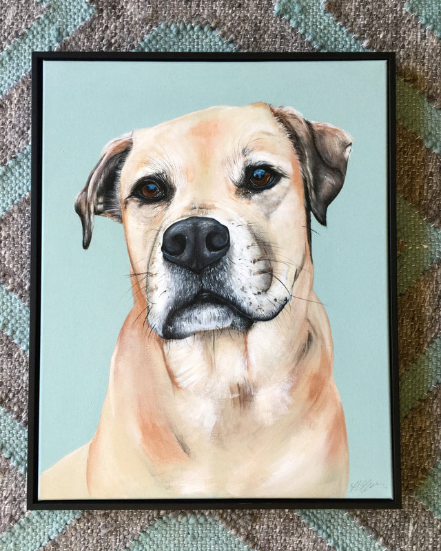 PET PORTRAIT BOOKING